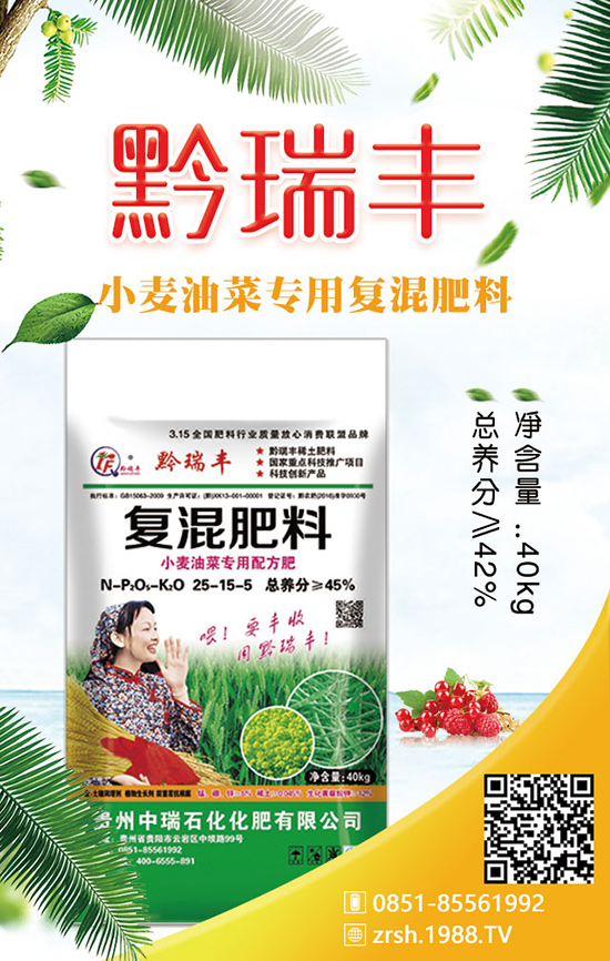 生菜的施肥原則有哪些？其中的作用是什么？