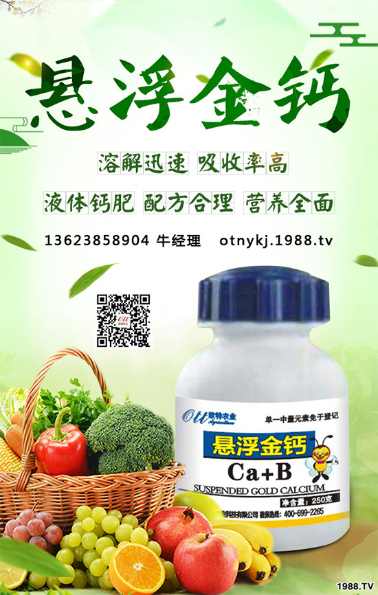 紅藤有哪些神奇功效？紅藤的功效作用及禁忌人群