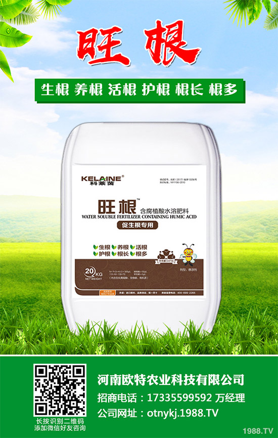 紅藤有哪些神奇功效？紅藤的功效作用及禁忌人群