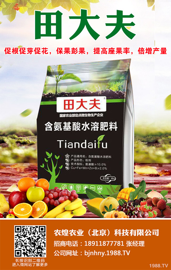 種植什么水果會(huì)賺錢？2020年水果種植指南