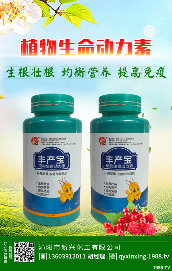 怎樣才能種好大白菜？大白菜高產(chǎn)種植技術(shù)要點