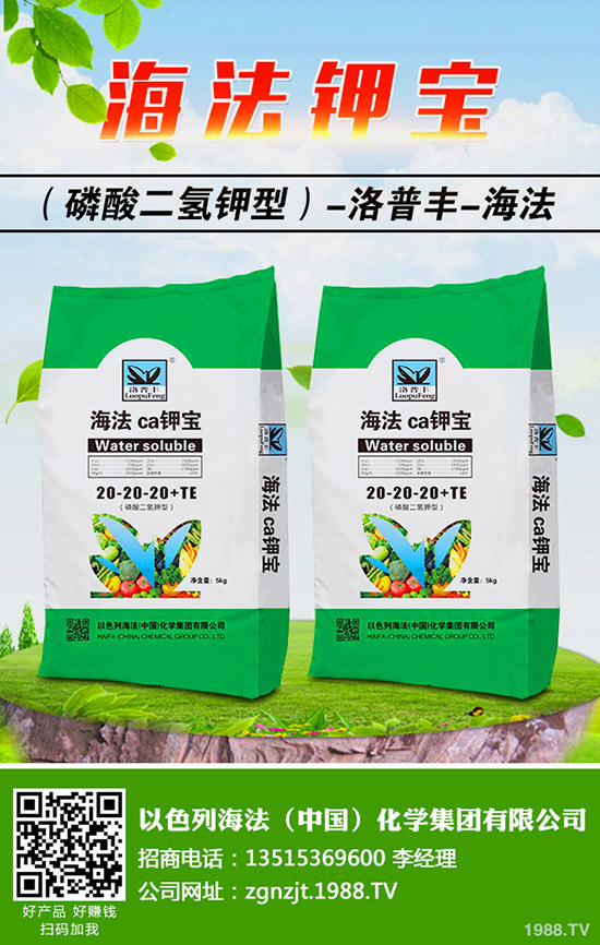 怎樣做好冬季梨樹修剪，梨樹冬季修剪的時間及方法！