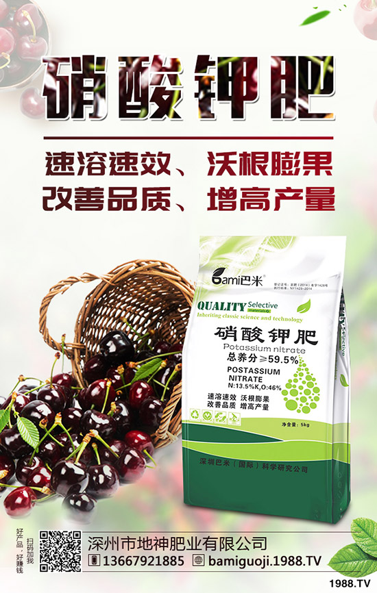 紅薯育苗時間是什么時候？紅薯育苗方法有哪些？