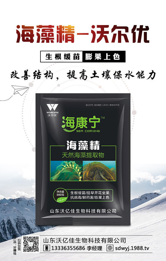 露地辣椒什么時候種植？露地辣椒高產(chǎn)種植技術(shù)