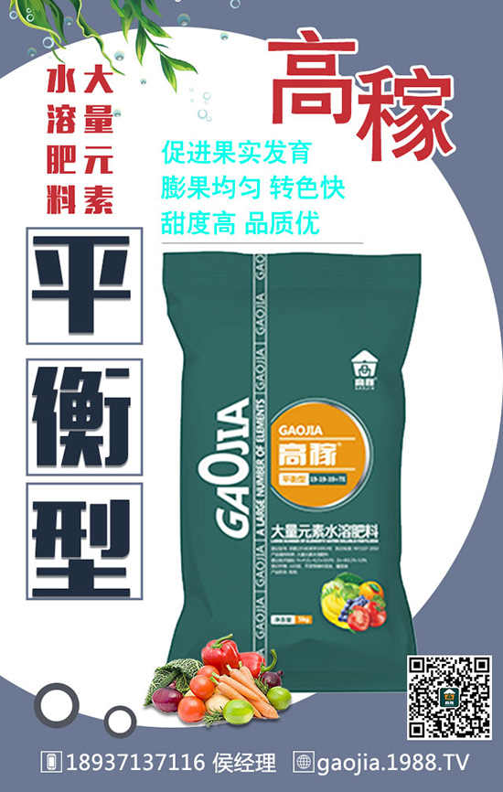 冬季拔高大蒜產(chǎn)量，離不開大蒜的合理管理！