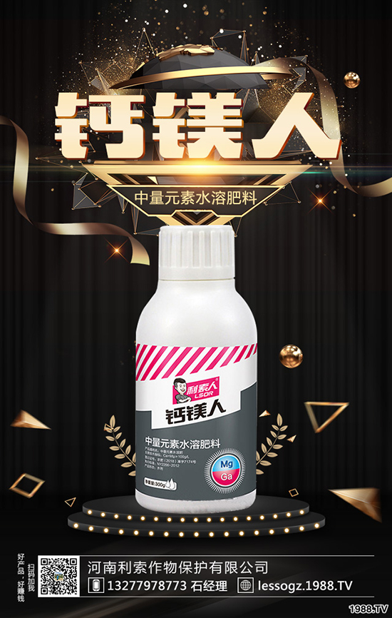 白菜價(jià)格多少錢一斤？白菜畝產(chǎn)多少斤？種植前景怎么樣？