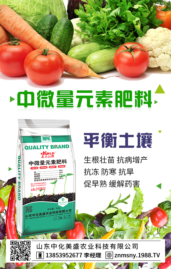 冬季草莓怎么管？冬季草莓管理措施！