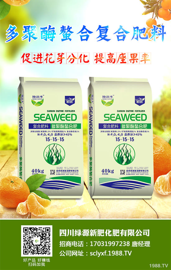 冬季南瓜該如何種植？反季南瓜大棚種植技術(shù)