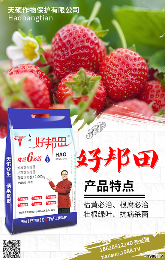 冬季南瓜該如何種植？反季南瓜大棚種植技術(shù)