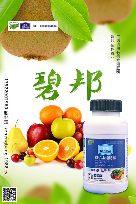 春季甘藍(lán)該如何種植？春甘藍(lán)高產(chǎn)管理技術(shù)