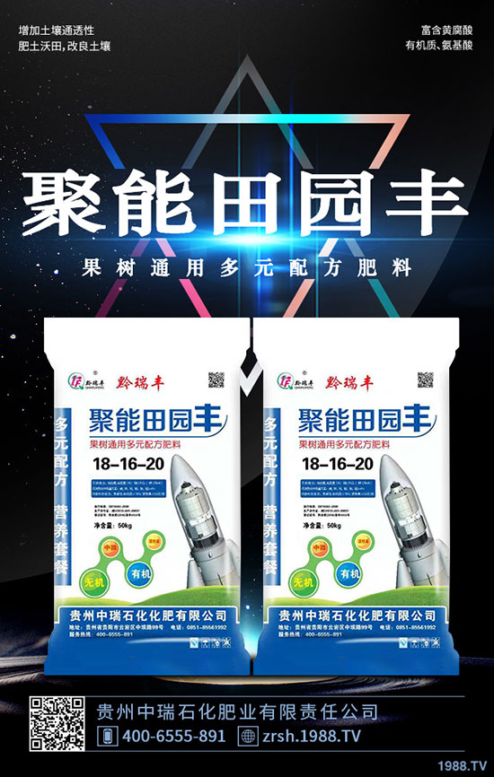 黑木耳的功效與作用，黑木耳營(yíng)養(yǎng)價(jià)值及食用禁忌！