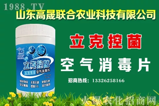 2020年10月13日國(guó)內(nèi)小麥價(jià)格行情
