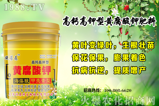 ��ݮ���L���h(hu��n)��Ҫ������Щ���＾��ݮ��ֲע�����(xi��ng)�͹�����ʽ��