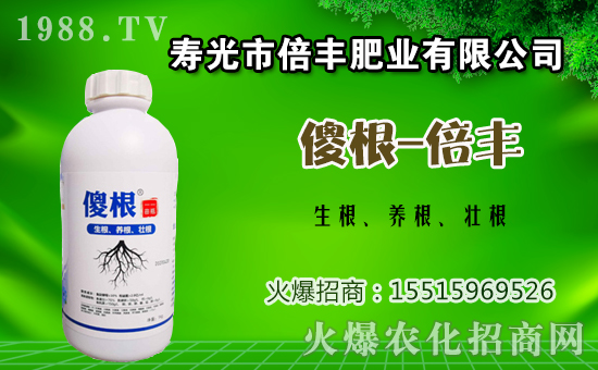 茄子種植該如何施肥？茄子的基肥與追肥方法！