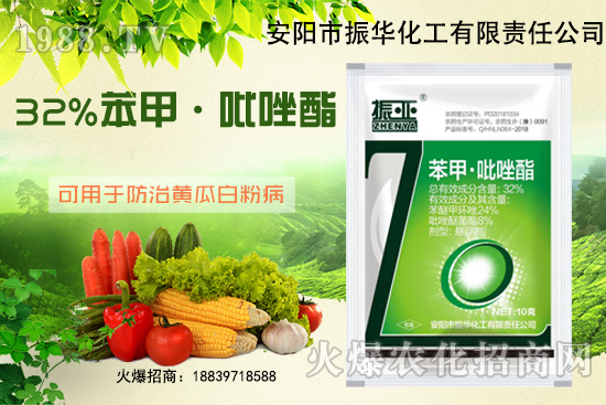 大棚黃瓜白粉病什么藥有用？發(fā)病條件如何避免？