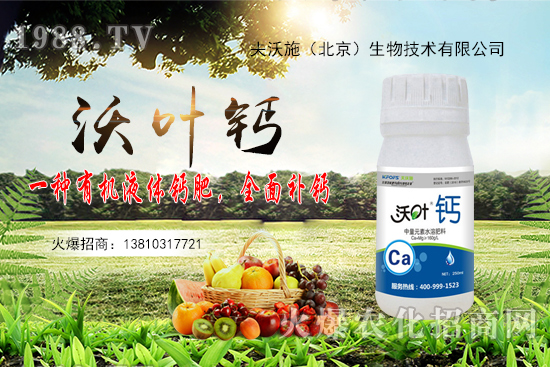 花生還會(huì)再漲嗎？2020年10月20日花生價(jià)格行情