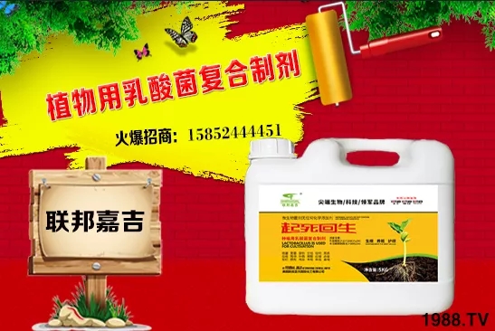 ���[���L�l������Щ�����[������c(di��n)���＾������