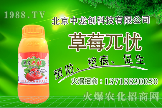 果樹下適合種植什么中藥材？果園里能套種哪些中藥材？