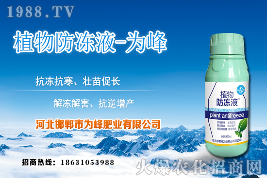 蘆薈的生長規(guī)律有哪些？蘆薈種植方法及種植注意事項(xiàng)！