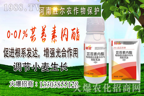 小麥價格上漲節(jié)奏逐漸興起，后市可期！10月22日小麥價格行情