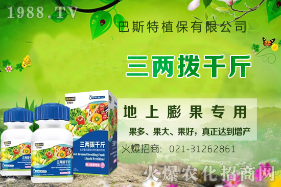 影響牛膝根系的生長(zhǎng)因素有哪些？牛膝生根壯苗用什么葉面肥？