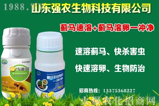 秋冬11月種植什么蔬菜比較合適？蔬菜種植注意事項！