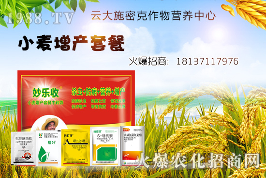 小麥播種后不出苗？是什么原因造成的？