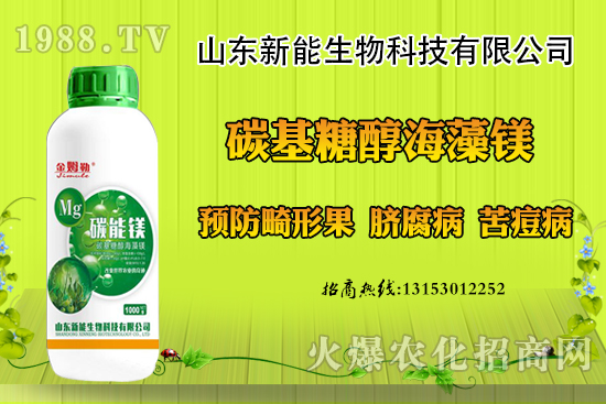 冬季大棚草莓畸形果原因,出現(xiàn)畸形果怎么防治?