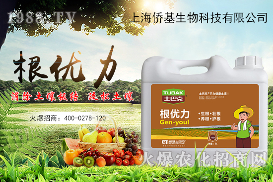 作物生根用什么肥？生根肥選擇有哪些？