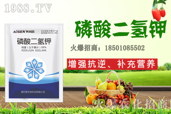 ����ʩ�D�ʺ�̎����Щ����Щ����Ҫʩ���D��ԓ��ôʩ��