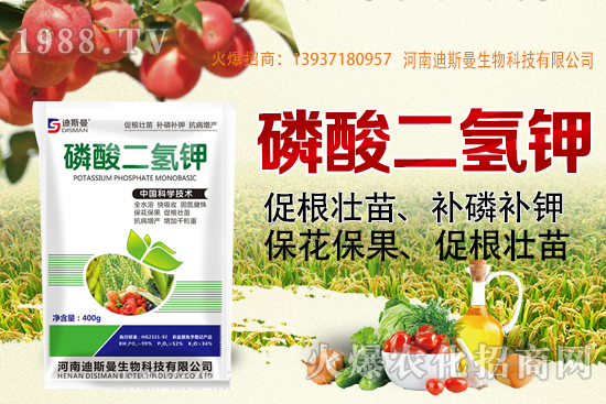 小麥報價！2020年10月7日小麥價格！