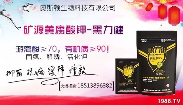 ����ʲô�r(sh��)�g���N��ע�����(xi��ng)����Щ�����ش���Nֲ�r(sh��)�g����