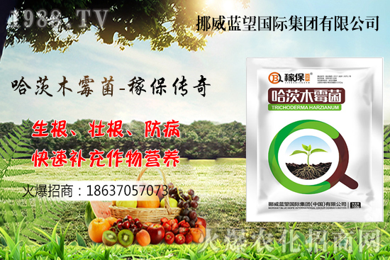 收獲后的小麥如何儲存呢？小麥儲藏關(guān)鍵點管理！