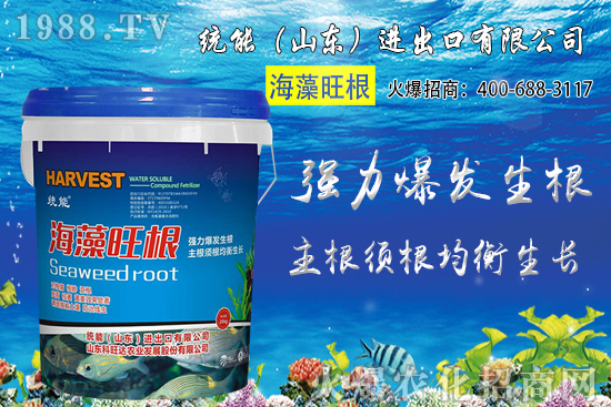 С���r��󷶇��ϝq���A(y��)ӋС���r��ͻ��1.25Ԫ/��