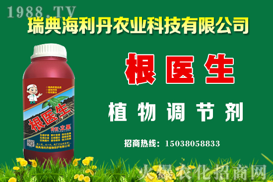 油菜怎么管理能提高產(chǎn)量？油菜抗寒防凍措施有哪些？