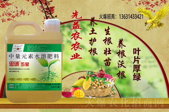 小麥價格多少錢一斤？今日小麥價格行情！