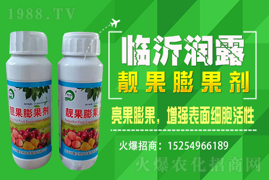 水稻價(jià)格野蠻上漲，漲價(jià)原因已揭開(kāi)，能漲到1.6嗎？