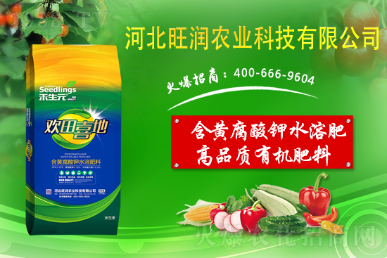 ���@����Ĥ��ô�Ч���������@䁷���Ĥ��Ҫ�c��