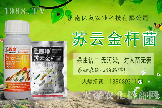 黃桃種植應(yīng)該注意哪些事項(xiàng)？黃桃種植時(shí)間及田間管理！