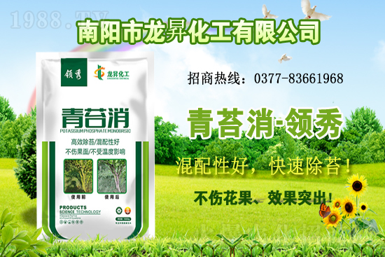 大豆供不應(yīng)求，價(jià)格持續(xù)上漲！各地大豆價(jià)格行情