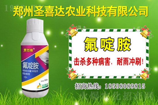 生姜播種方法有哪些？生姜可以和什么作物套種？