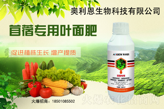 苜蓿越冬肥怎么施？苜蓿的施肥管理