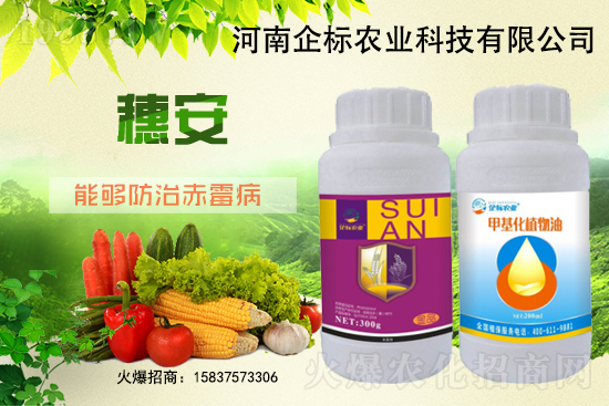 小麥赤霉病危害特點，防治小麥赤霉病用什么藥？