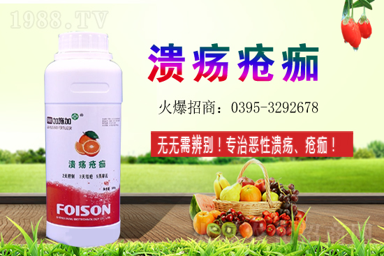 2021��ʯ��Nֲ���������ʯ�������ǰ����ô�ӣ�