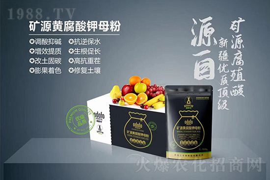 什么是蔬菜冷害？如何提高作物抗凍能力？