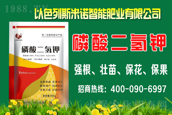 柑橘什么時(shí)間施肥？柑橘的施肥時(shí)間及用量介紹！