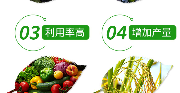 22%���ѡ��������x-����-���˸�_07