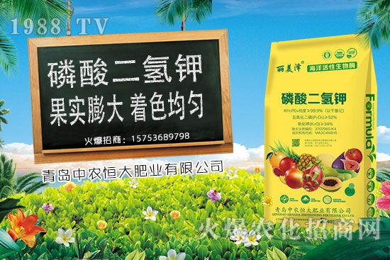 今日小麥價(jià)格上漲，后期是否會(huì)持續(xù)上漲？