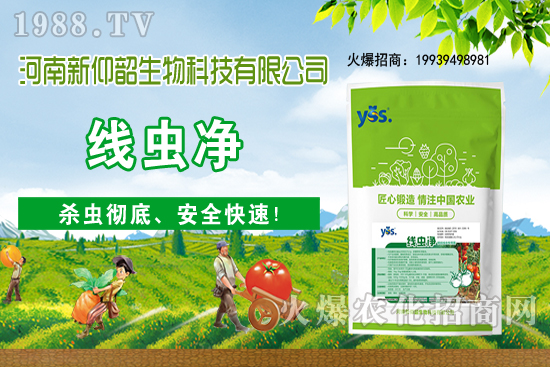 11月6日國內(nèi)小麥價(jià)格大多穩(wěn)，局部小幅波動！