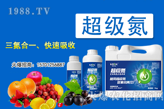 尿素當(dāng)葉面肥怎么用？需要注意哪些問題？